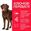 Сухий корм Hill’s SP Adult Healthy Mobility Large Breed для собак великих порід з куркою 14 кг - мініатюра 2