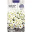 Насіння Ромашка низька Насіння України Принцеса 0.25 г (763300) - мініатюра 1