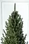 Ялинка штучна лита Віденська 2.3 м Зелена  - мініатюра 3