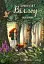 Дівчинка на ім’я Віллоу. Шепіт лісу. Книга 2 - миниатюра 1