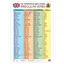 Плакат Таблиця неправильних дієслів 47937 англійська мова - мініатюра 1