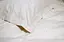 Постельное белье Lotus Home Hima сатин евро бело-песочное (svt-2000022346504) - миниатюра 4