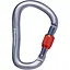 Карабин Black Diamond RockLock Screwgate Серый/Оранжевий (1033-BD 210256.1003) - миниатюра 1