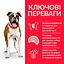 Сухий корм Hill’s SP Adult Light Medium Breed для собак середніх порід схильних до ожиріння з куркою 14 кг - мініатюра 2