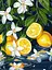 Набор для росписи по номерам Лимон в разрезе, Ideyka, 30x40 см, КНО5733 - миниатюра 1