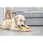 Лакомство Trixie Chewing cheese для собак, M: 13.5 см, 75 г - миниатюра 9