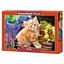 Пазл Castorland puzzle Рыжий котенок, 500 эл. ( B-52240) - миниатюра 1