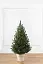 Ялинка штучна в горщику лита Віденська 1.1 м Зелена - мініатюра 1