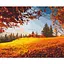 Картина за номерами Осінній ліс Brushme 40x50 см кольорова 000276734 - мініатюра 1