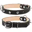 Ошейник для собак Collar двойной с шипами (4820082491888) - миниатюра 1