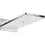 Верхний душ с держателем Hansgrohe Raindance Rainmaker Select 580 24001400 хром белый - миниатюра 1