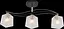 Потолочная люстра V XA1530B/3 BK+CR - миниатюра 2