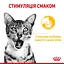 Влажный корм для взрослых кошек Royal Canin Sensory Taste Gravy кусочки в соусе 1.02 кг (12 шт. х 85 г) - миниатюра 6