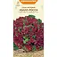 Насіння Салат листовий Насіння України Лолло росса 1 г (624300) - мініатюра 1