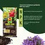 Торфосмесь универсальная COMPO SANA® 70 л - миниатюра 7