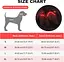 MASBRILL Led Dog Harness - перезаряджається шлейка для собак, що світиться, що світиться і світловідбивна, не тягне, регульована ш - мініатюра 5