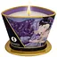 Масажна свічка Shunga Massage Candle Exotic Fruits з афродизіаками 170 мл - мініатюра 1