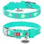 Нашийник для собак Waudog Glamour шкіряний з QR паспортом, візерунок Зірочка, світиться/світловідбивний, XS, Ш 12 мм, Дов 21-29 см (2035841300000) - мініатюра 1