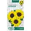 Насіння Соняшник низький Насіння України Затемнення 1 г (799700) - мініатюра 1