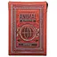 Карти гральні United States Playing Card Company Theory11 Animal Kingdom (PC_T11ANKM) - мініатюра 1