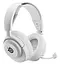 Наушники с микрофоном SteelSeries Arctis Nova 5P White (61674) - миниатюра 1