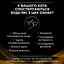 Вологий корм для кішок Purina Pro Plan Veterinary Diets NF Renal Function Advanced Care При патології нирок З лососем 10 x 85 г (7613287873699) - мініатюра 5