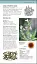 Herbal Remedies Handbook - мініатюра 6