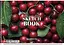 Комплект 3шт. альбомов для рисования. Альбом Школярик А4 30 л. 120г/м2 8042 4823088243970 - миниатюра 2