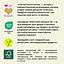 Післяпологові органічні прокладки Eco by Naty 10 шт. - мініатюра 2