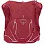 Рюкзак Osprey Duro 6 Wmn Burgundy M (1054-009.3610) - мініатюра 1
