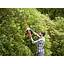 Уценка. Кусторез электрический Black+Decker BEHTS301 500 Вт диаметр веток 22 мм со вспомогательным ножом (BEHTS301) - миниатюра 7