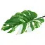 Искусственные листья Engard Monstera Alba 73 см (TW-54) - миниатюра 2