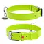 Нашийник для собак шкіряний Waudog Glamour з QR-паспортом без прикрас M Ш 20 мм Д 30-39 см салатовий - мініатюра 1
