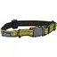 Нашийник для собак Coastal k9 Explorer 1.6 см x 20-30 см нейлон - мініатюра 1