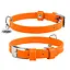 Ошейник для собак кожаный Waudog Glamour с QR-паспортом без украшений S Ш 15 мм Д 27-36 см оранжевый - миниатюра 1