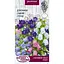 Насіння Дзвоники садові Насіння України суміш 0.2 г (752400) - мініатюра 1