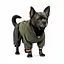 Дощовик Pet Fashion Jimi для собак, розмір XS, зелений (лімітована серія) - мініатюра 2
