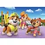 Пазл 2 в 1 Clementoni Paw Patrol. New: 2 шт. по 20 элементов (24800) - миниатюра 3