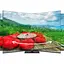 Телевізор Thomson QG5C14 43" QLED 4K UHD (43QG5C14) [139511] - мініатюра 10
