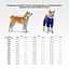 Ветровка для собак Collar Waudog Clothes, рисунок "Кубы 3Д", L55, В 77-79 см, С 50-55 см - миниатюра 2