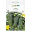 Насіння огірків Садиба Анвар F1, 10 шт.  - мініатюра 1