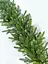 Хвойна гірлянда Hvoya Forest лита зелена з салатовими кінчиками 1.2 м - мініатюра 3
