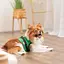 Шлейка Ross ТМ Pet Fashion для собак XXS зелена - мініатюра 4