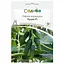 Насіння огірків Садиба Пучіні F1, 50 шт.  - мініатюра 1