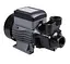 Насос поверхневий вихровий Thermo Alliance QBm60 - мініатюра 1