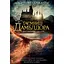 Фантастичні звірі: Таємниці Дамблдора. Оригінальний сценарій - Стів Кловз - мініатюра 1