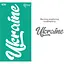 Трафарет багаторазовий самоклеючий №108 Україна 9×17см Rosa Talent - мініатюра 1