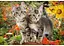 Пазл Castorland Друзья котенка 1500 эл. (c-151899) - миниатюра 2