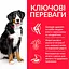 Сухий корм Hill’s SP Adult Large Breed для дорослих собак великих порід з ягням і рисом 14 кг - мініатюра 2