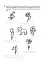 Подорож із слоненям. Літній зошит. З 2-го у 3-й клас - мініатюра 6